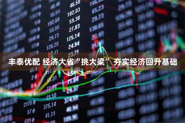 丰泰优配 经济大省“挑大梁” 夯实经济回升基础