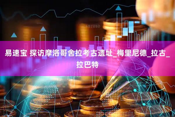 易速宝 探访摩洛哥舍拉考古遗址_梅里尼德_拉古_拉巴特
