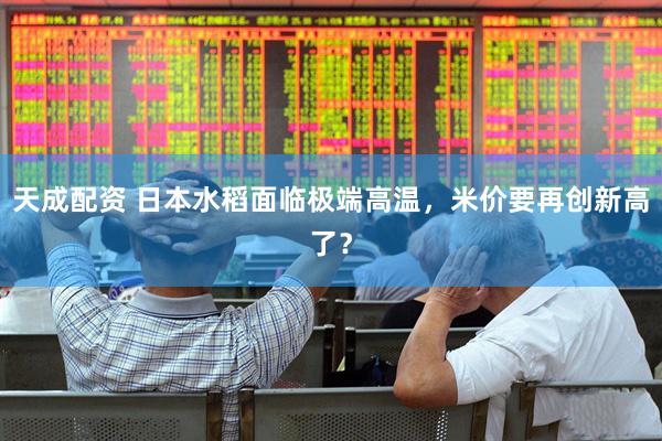 天成配资 日本水稻面临极端高温，米价要再创新高了？