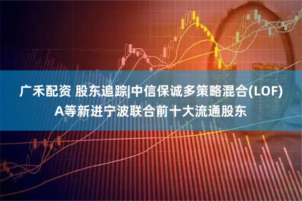广禾配资 股东追踪|中信保诚多策略混合(LOF)A等新进宁波联合前十大流通股东