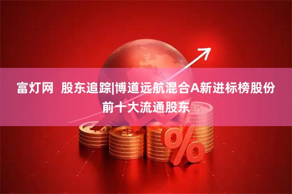 富灯网  股东追踪|博道远航混合A新进标榜股份前十大流通股东