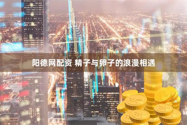 阳德网配资 精子与卵子的浪漫相遇