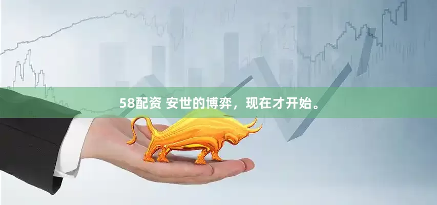 58配资 安世的博弈，现在才开始。